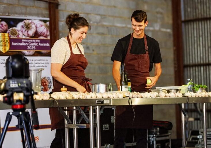 Festival kitchen guests